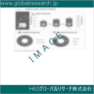 グローバルリサーチ調査資料のイメージ